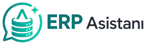 ERP Asistanı